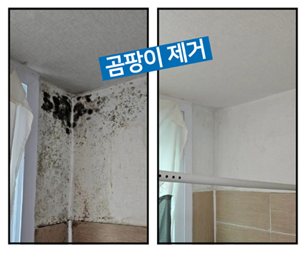 스파클리빙 청보 전후 비교 사진