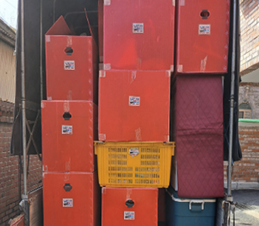 스파클리빙 리뷰